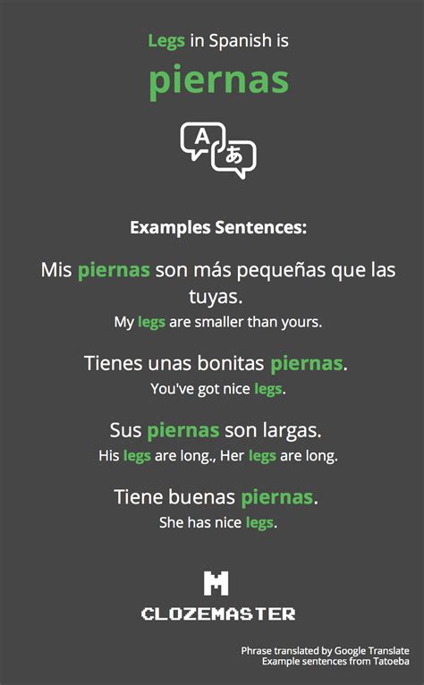 21 how to say leg in spanish 02 2023 bmr