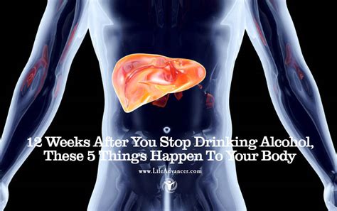 12 Weeks After You Stop Drinking Alcohol These 5 Things Happen To Your Body