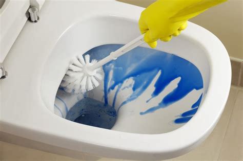 The Most Hated Chores Revealed And Cleaning The Toilet Isnt Number