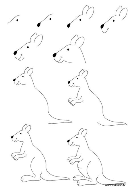 Aprendemos A Dibujar Un Canguro Un Rincón En Casa