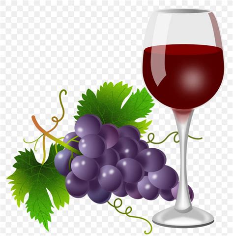 Wine Glass And Grapes Clipart 10 Free Cliparts Download Images On