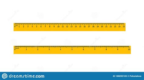 Set Of Two School Rulers Measurement In Centimeters And Inches Stock