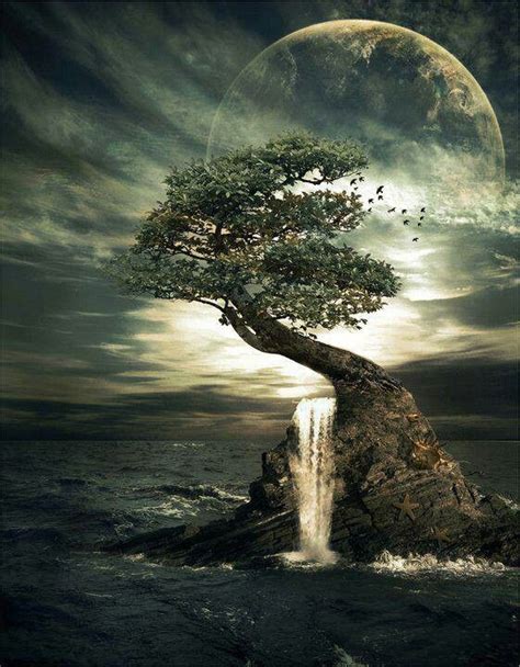 Awesome Tree And Waterfall Beautiful Moon Scenery Nature Photography