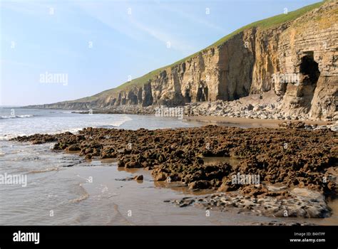 Cliffs At Dunraven Bay Between Ogmore And Southerndown Stock Photo Alamy