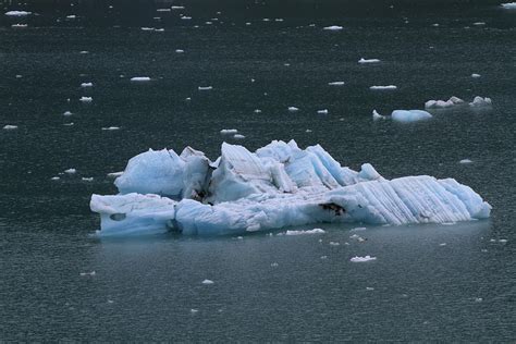 Floating Alaska Icebergs Hubbard Glacier Photograph By Katrina Lau