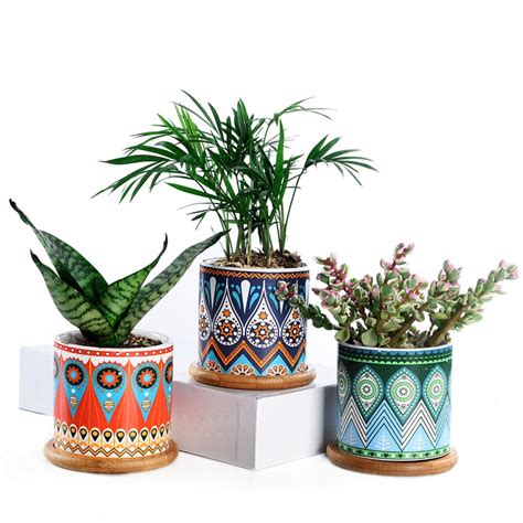 Set Of 3 Succulent Plant Pots315 Inch Round Cactus Ceramic Planters