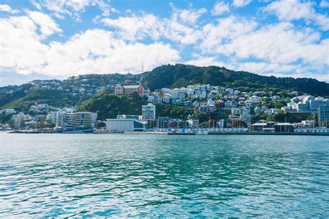 Six Wonderful Things You Cannot Miss In Wellington New Zealands