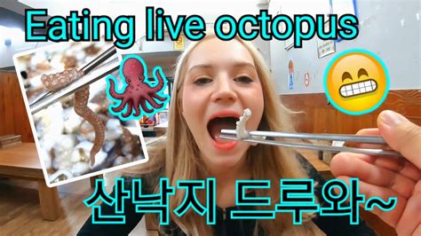 산낙지 처음 먹어본 외국인 반응 Eating LIVE OCTOPUS in Korea 국제커플 International