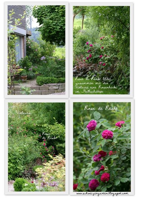 Ich habe keinerlei einfluss auf die inhalte. Ein Garten Blog über das Neuanlegen eines Gartens nach dem ...