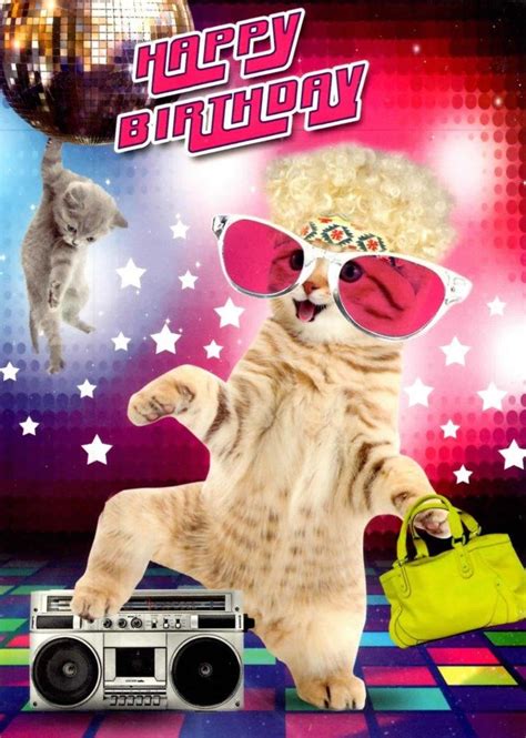 Disco Cats Happy Birthday Greeting Card Cards Love Kates