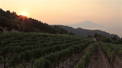 Tsantali Mount Athos The Mystic Vineyard