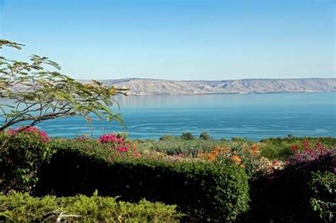 We did not find results for: Sea of Galilee water level lowest in century