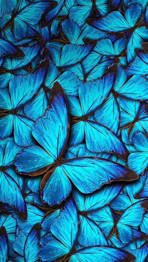 Free Download Iphone 8 Wallpaper Blue Butterfly 2019 3d Iphone