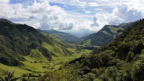 Your Guide To The Coffee Cultural Landscape Of Colombia
