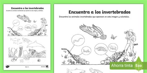 Ficha De Actividad Encuentra Los Animales Invertebrados