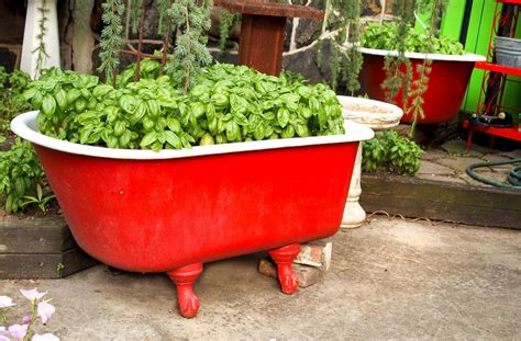 How To Choose Pots For A Patio Container Garden Pro Tips Ideas
