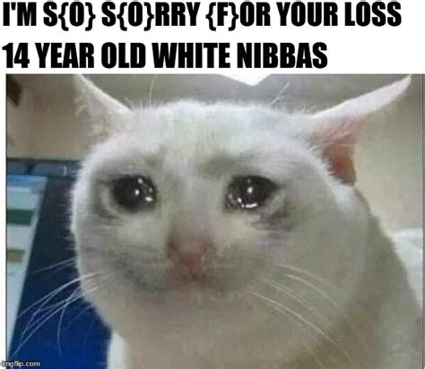 Crying Cat Meme Generator Quality Content Available Suscribe Or You