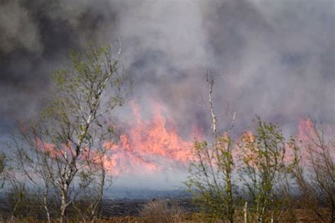 Denunciaron Que Los Incendios En Las Islas Del Delta Del Paraná Fueron Provocados De Forma