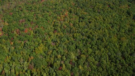 6k Stock Footage Aerial Video Of A Birds Eye View Of A Colorful Dense