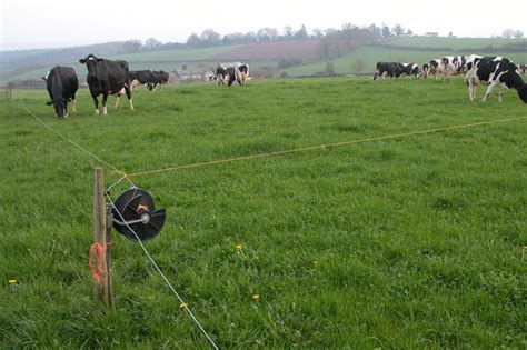 With a few simple steps, you can protect your garden with an electrical fence. How to Install an Electric Fence For Cattle