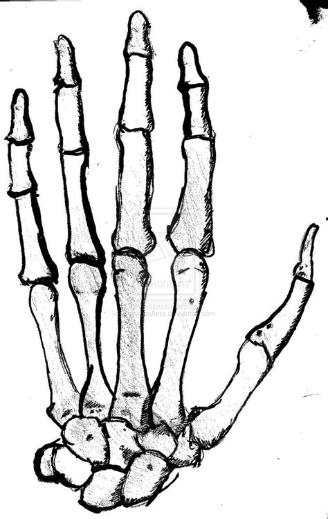 How To Draw Skeleton Bones On Your Hand At How To Draw