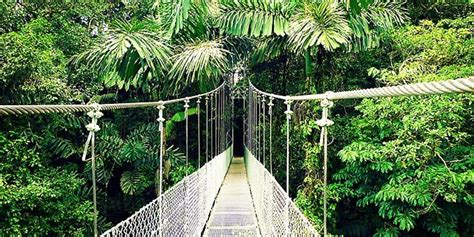 The Best Canopy Hanging Bridges In Costa Rica