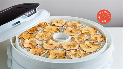 Best Food Dehydrator 2021 For Dried Fruit Jerky And Preserving