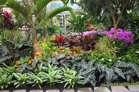 Pin By Troy Brumfield On Tropical Gardens Garden Florida Gardening