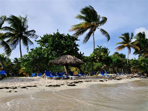 Palomino Islands In Peru Times Of India Travel