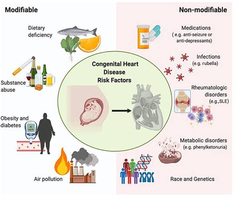 Frontiers Race And Genetics In Congenital Heart Disease Application