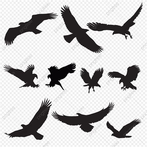 Bald Eagle Flying Silhouette Png Free Eagle Silhouette Flying Bird