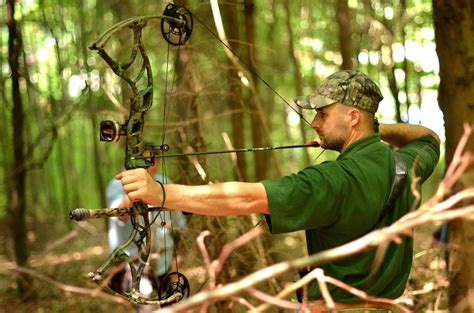 A Complete Overview Of 3d Archery