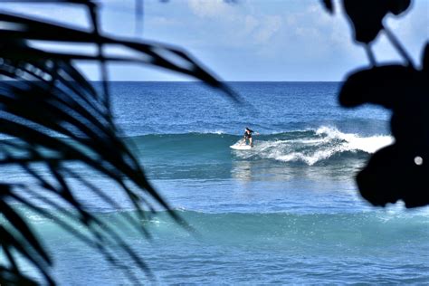 Rincon Surf Report Monday Jan 11 2021 Rincon Surf Report And Wave