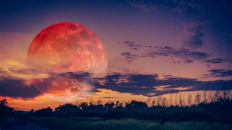 This monday's show is all about nature and science. When to See This Month's 'Pink Super Moon'