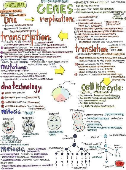 Mynotes4usmle Teaching Biology Biology Classroom Science Notes