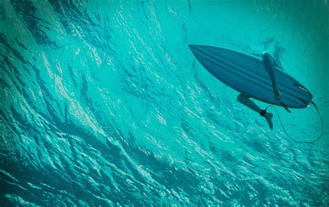 Movie The Shallows Hd Wallpaper