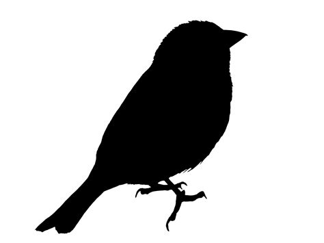 Bird Silhouette Sparrow Clipart Free Stock Photo Public Domain Pictures