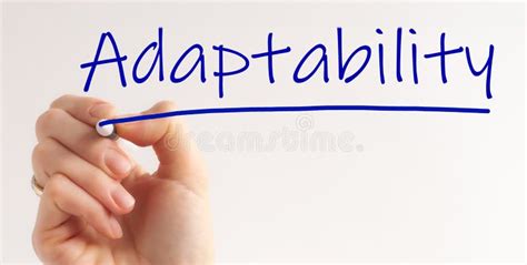 Hand Writing The Word Adaptability With Marker Concept Stock Image