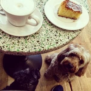 Saturday Morning Coffee And Cake Miss Darcy S Adventures