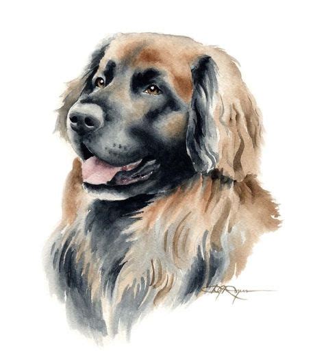 Leonberger Painting Art Print Watercolor Artist Dj Rogers Dog
