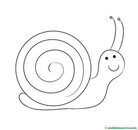 Dibujo de caracol Web del maestro