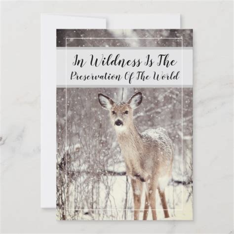 Wildlife Quote Woodland Deer Snow Winter Holiday Uk