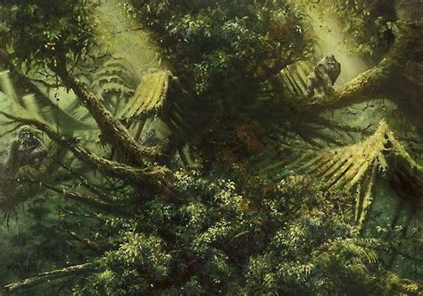 Treetop Village From Magic The Gathering Fantasy Landscape Magic The