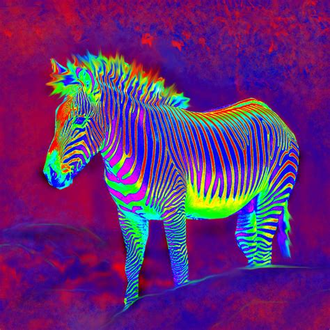 Neon Zebra Painting By Jane Schnetlage