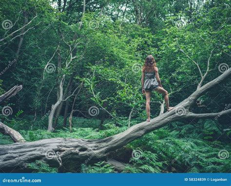 Barefoot Young Woman Standing On Fallen Tree Stock Image Image Of Outdoor Beautiful 58324839