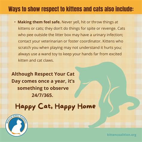 Respecting Cats And Kittens National Kitten Coalition