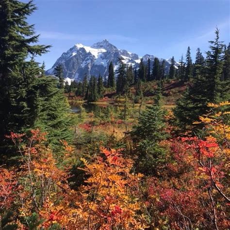 Mount Baker Scenic Byway Is An Incredible 58 Mile Drive In Washington