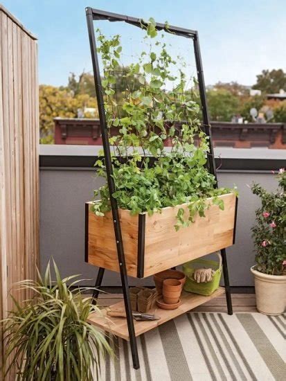 23 Diy Trellis Ideas For Balcony Gardens Balcony Garden Web