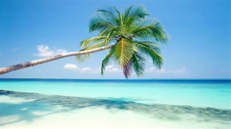 Download Tropical Island Beach Desktop Background Hd Wallpaper By