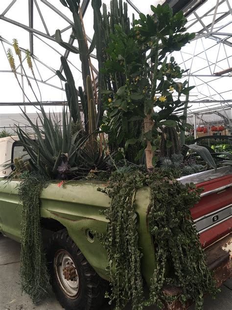 All for the new alpha 17 version. The cactus truck at my local fancy plant store : matureplants